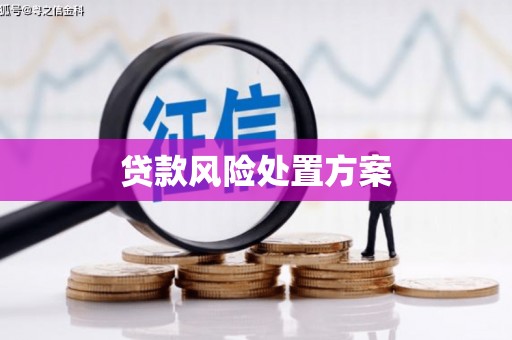 杞县贷款风险处置方案